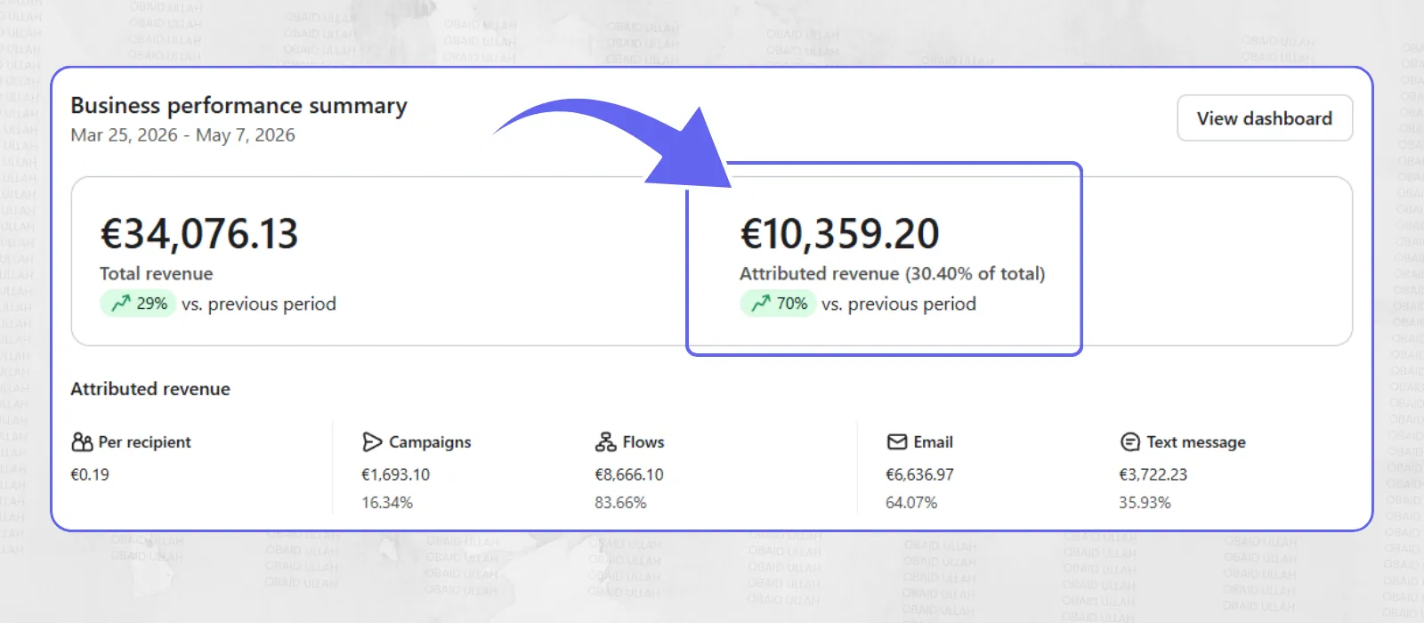 Klaviyo business performance dashboard for LipoTek Italy