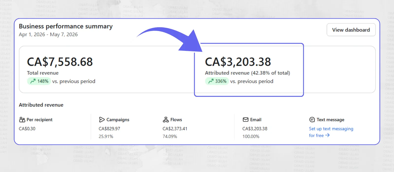 Klaviyo business performance dashboard for Pestle & Pods Canada