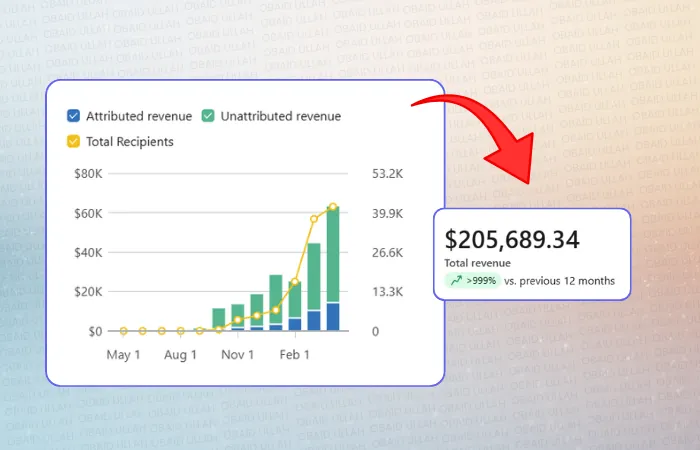 MantaSocks Klaviyo overall attributed revenue, $205,689 over 8 months, +>999%