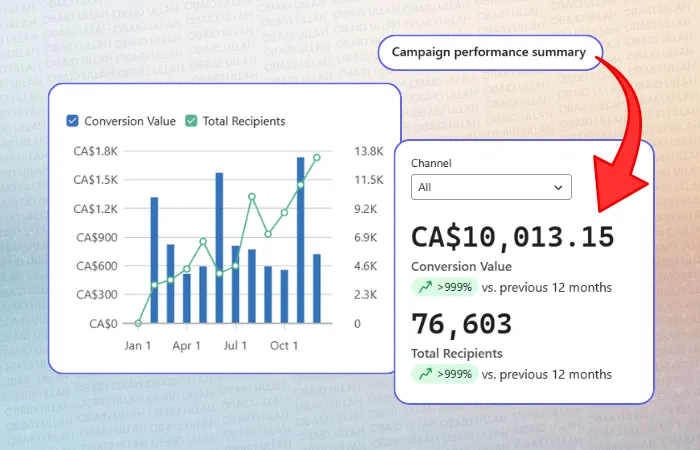 Pestle & Pods campaigns after, CA$10,013 +999% growth